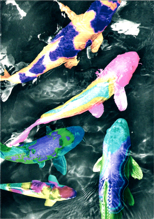 Koi Fish Blank Greeting Card Retail $2.99. Inside: BLANK | 8359 | 255362