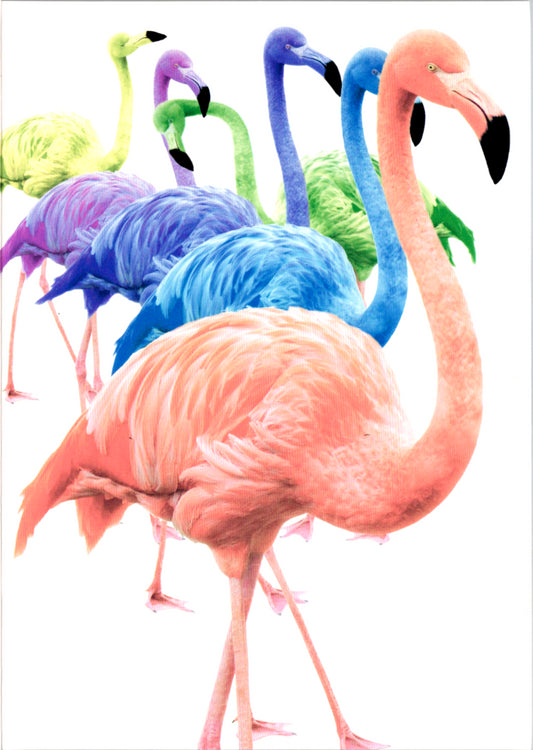 Flamingo Blank Greeting Card Retail $2.99. Inside BLANK | 6074 | 255465