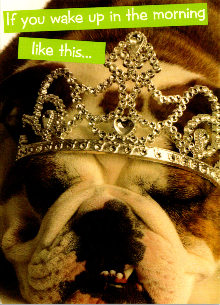 Quirky Critters- Tiara Dog- General Birthday. Retail $2.99 Inside: Just assume it was a good night and move on. 5x7 Greeting Card | 7423 | 255594