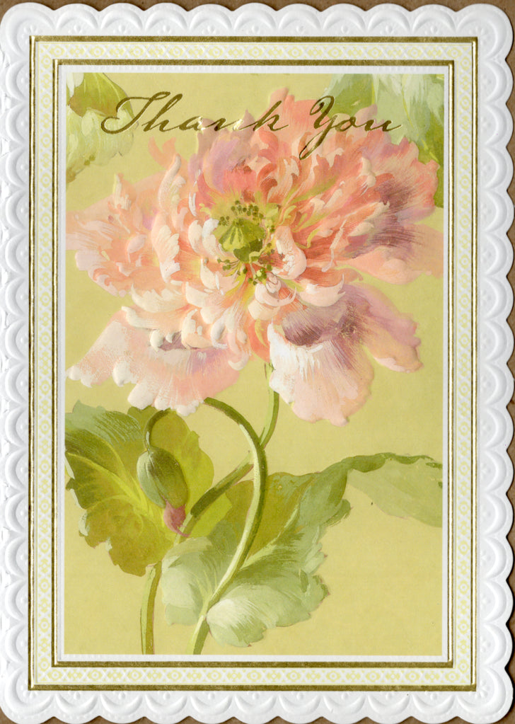 Apricot rose embossed die cut thank you greeting card by Carol Wilson Inside: Thank you for everything. Retail $4.25 | CRG1466 | 255683
