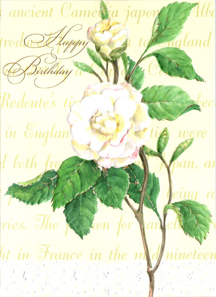 white dog rose embossed. die-cut general birthday greeting card by Carol Wilson. Inside: Wishing you a birthday filled with all that you love. Retail $3.50. | CG1424 | 255702