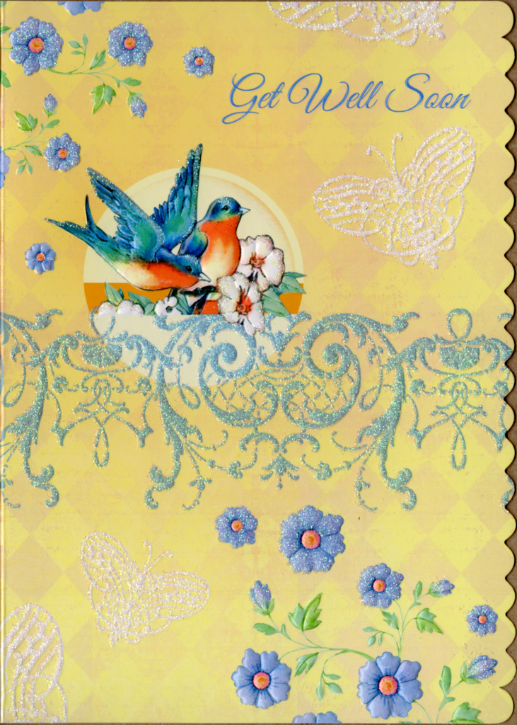 Blue birds bring get well wishes embossed die cut get well greeting card by Carol Wilson Inside Cheery wishes for your speedy recovery. Retail $4.25 | CRGN4039 | 255760