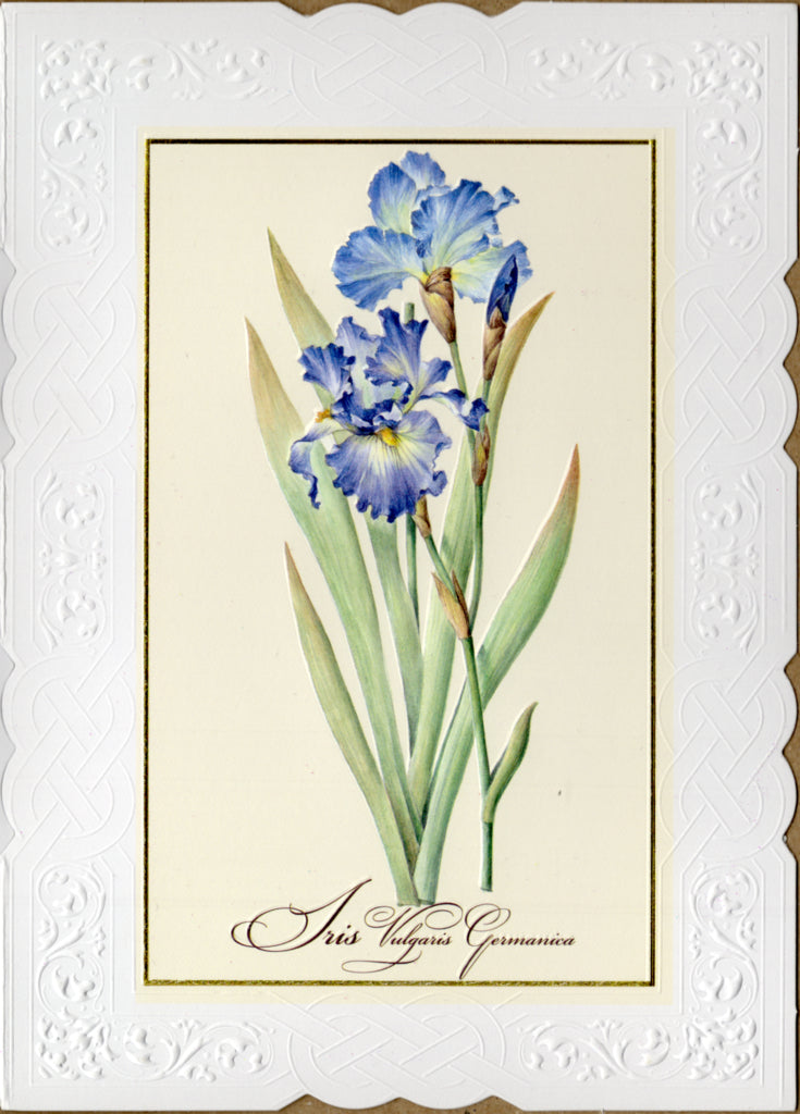 White lace border with purple iris stem blank embossed die-cut greeting card by Carol Wilson. Retail $4.25 | CRG1000 | 255820