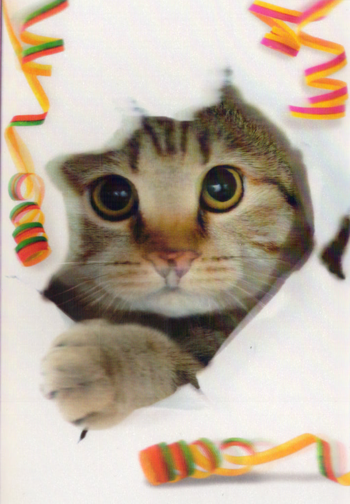 3D Cat and streamers Blank Greeting Card Retail $3.99. Inside: Blank | 05260A | 255926