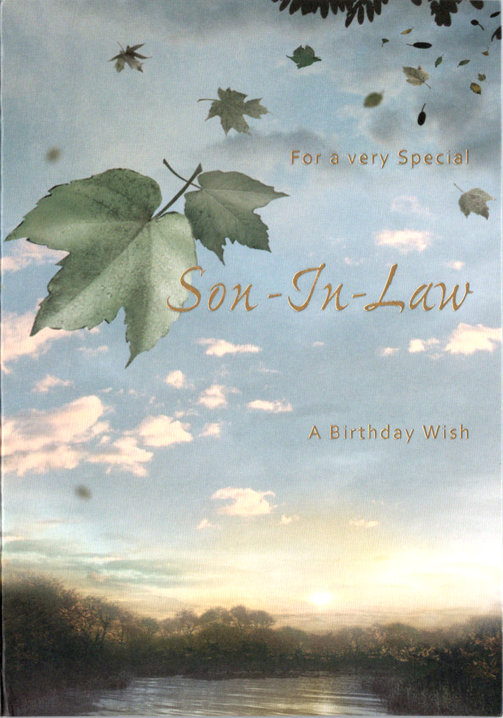 Falling leaf- Son-in-law family birthday card. Retail $2.99. Inside: For the happiness you bring our daughter for the sense of energy you bring our family... | 04055A | 255981