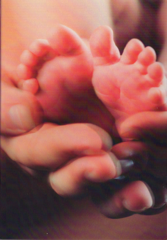 3D Baby feet Blank Greeting Card Retail $3.99. Inside: Blank | 5788 | 256005