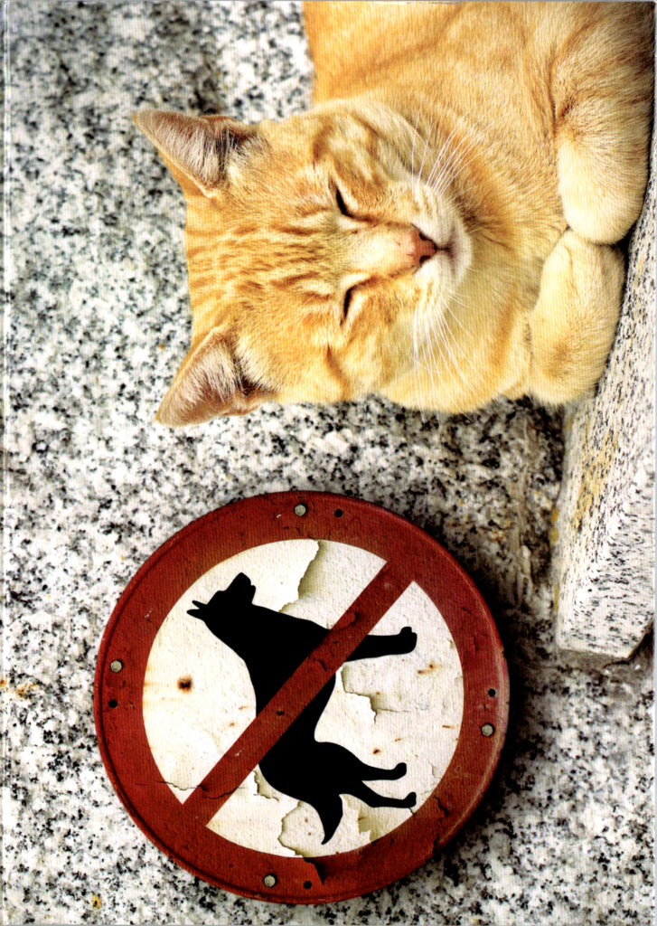 Quirky Critters- No dogs- General Birthday. Retail $2.99 Inside: Have a stress free birthday. 5x7 Greeting Card | 7430 | 256093