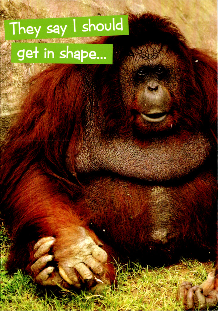 Quirky Critters- Ape- General Birthday. Retail $2.99 Inside: Round is a shape! Happy Birthday. 5x7 Greeting Card | 7431 | 256139