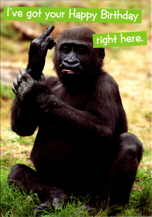 Quirky Critters- Gorilla- General Birthday. Retail $2.99 Inside: Hope you enjoy it! 5x7 Greeting Card | 7432 | 256140