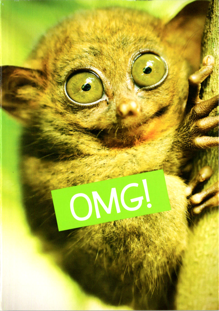 Quirky Critters- Old Age- General Birthday. Retail $2.99 Inside: So that's what old age looks like. Happy Birthday. 5x7 Greeting Card | 7433 | 256141