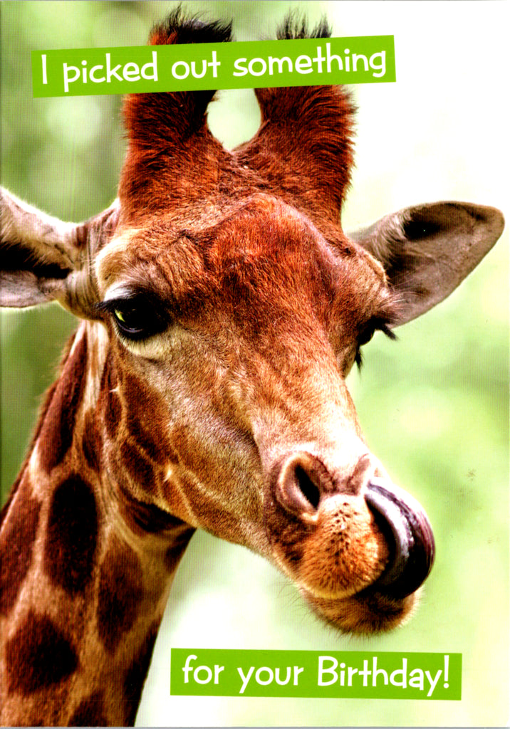 Quirky Critters- Giraffe- General Birthday. Retail $2.99 Inside: Enjoy! Happy Birthday. 5x7 Greeting Card | 7436 | 256142