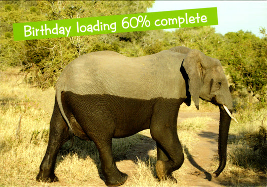 Quirky Critters-Elephant birthday loading- General Birthday. Retail $2.99 Inside: Happy Birthday. 5x7 Greeting Card | 7437 | 256147