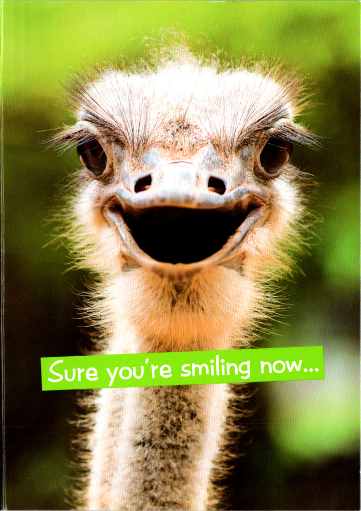 Quirky Critters- Ostrich- General Birthday. Retail $2.99 Inside: But I bet tomorrows hangover will change that. Happy Birthday. 5x7 Greeting Card | 7444 | 256149
