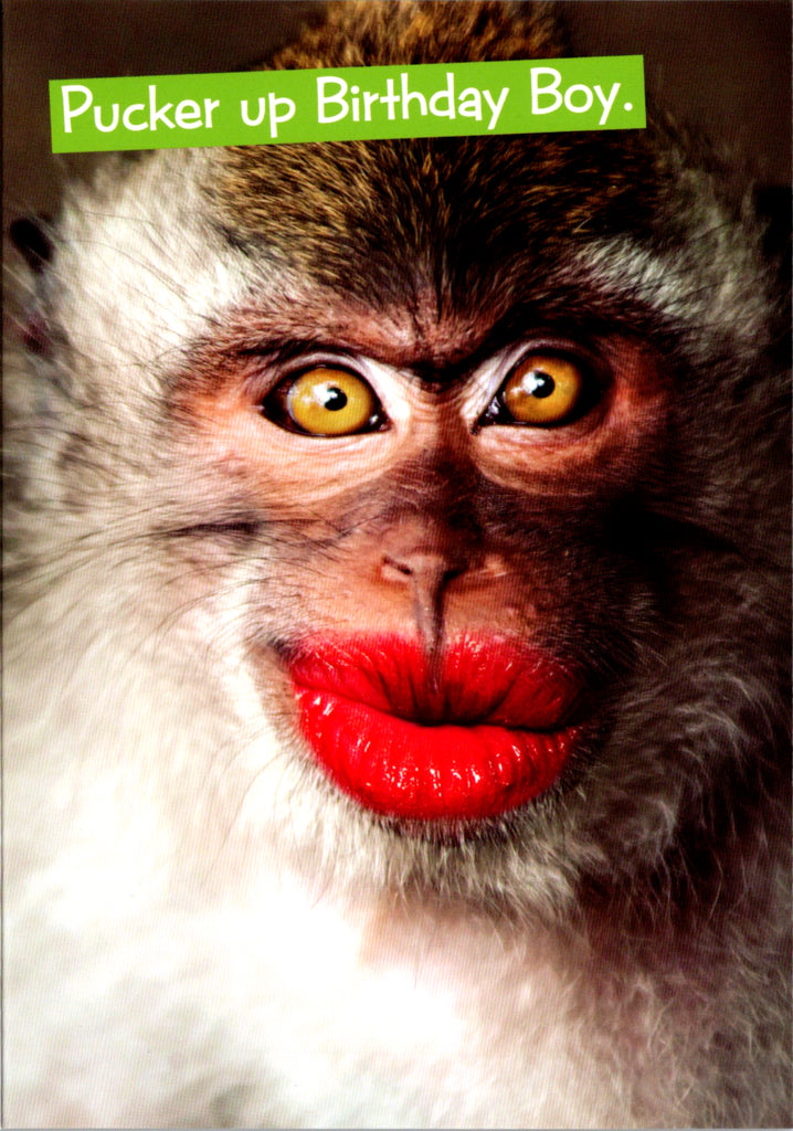 Quirky Critters- Monkey Pucker Up- General Birthday. Retail $2.99 Inside: Happy Birthday. x x x x 5x7 Greeting Card | 7434 | 256154