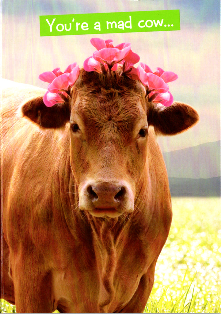 Quirky Critters- Mad cow- General Birthday. Retail $2.99 Inside: But that's what I love about you. Happy Birthday. 5x7 Greeting Card | 7442 | 256157