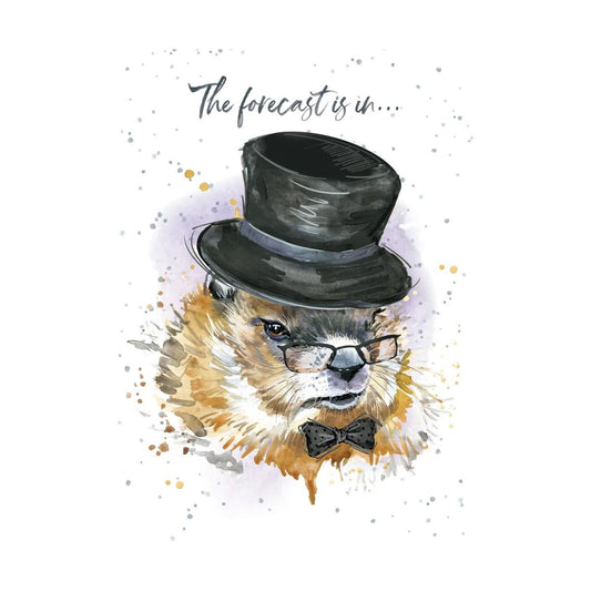 Hopper Cards- Forecast- Birthday. Retail $5.00. Dimensions: 5x7 INSIDE: and I predict a great birthday! | HOP0035 | 257592