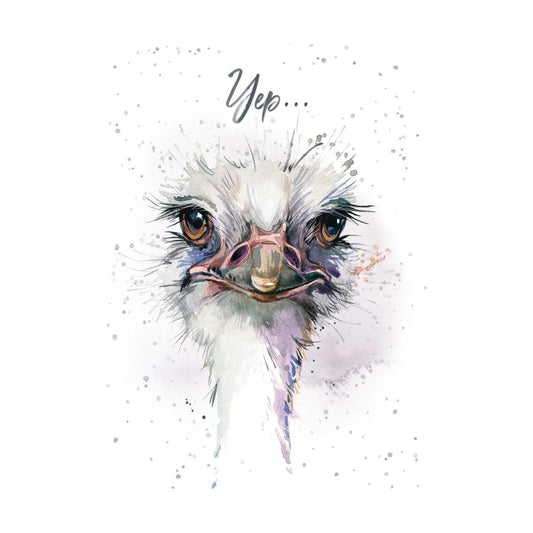 Hopper Cards- Missed your Birthday- Birthday. Retail $5.00. Dimensions: 5x7 INSIDE: I missed your Birthday | HOP0047 | 257600