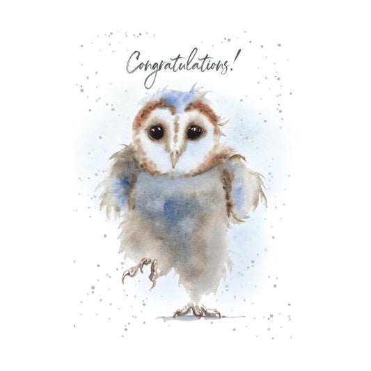 Hopper Cards- Stepping up- congrats. Retail $5.00. Dimensions: 5x7 INSIDE: You are stepping up in the world | HOP0098 | 257625