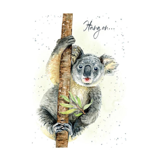 Hopper Cards- Hang on- Birthday. Retail $5.00. Dimensions: 5x7 INSIDE:  you're how old? Happy Birthday | HOP0119 | 257664