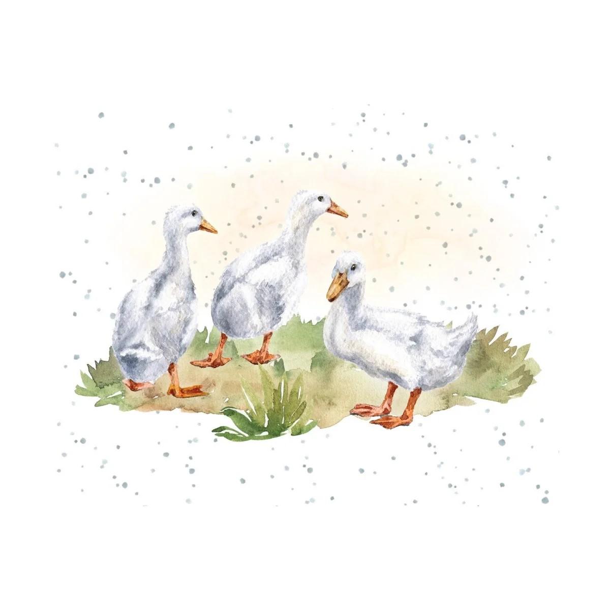 Hopper Enclosure Cards- Duck duck goose. Retail $2.00. Dimensions: 3.58 X 2.83. Inside: Blank. | EHOP0040 | 257721