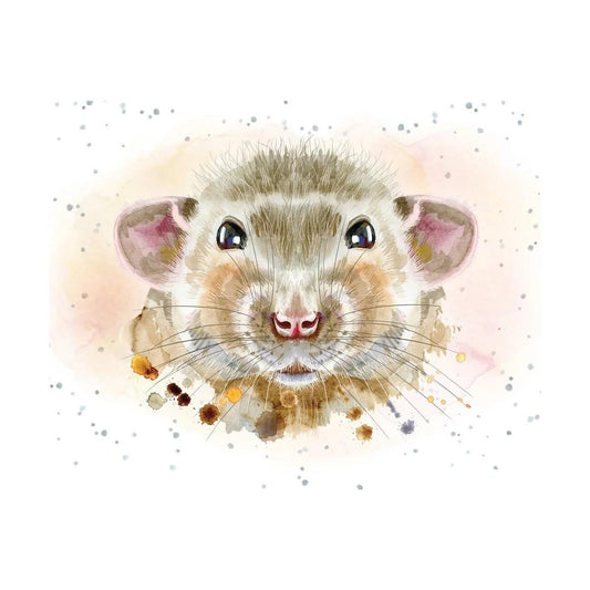 Hopper Enclosure Cards- Say cheese. Retail $2.00. Dimensions: 3.58 X 2.83. Inside: Blank. | EHOP0089 | 257742