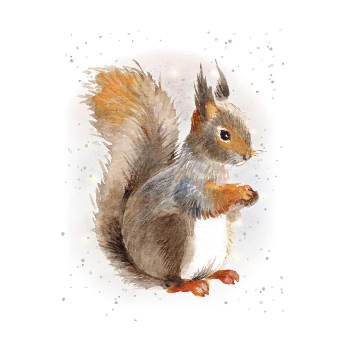 Hopper Enclosure Cards-Nuts about you. Retail $2.00. Dimensions: 3.58 X 2.83. Inside: Blank. | EHOP0090 | 257749