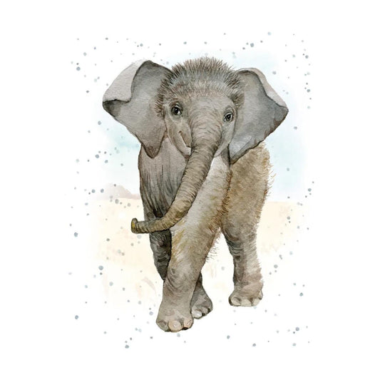 Hopper Enclosure Cards- A big deal. Retail $2.00. Dimensions: 3.58 X 2.83. Inside: Blank. | EHOP0110 | 257764