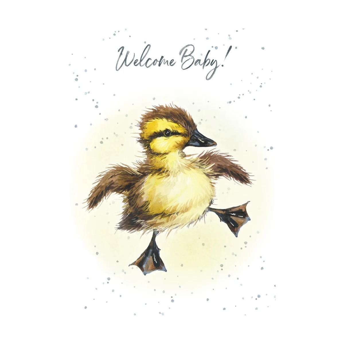 Hopper Cards- Ducking- Baby. Retail $5.00. Dimensions: 5x7 INSIDE: Congratulations on your new addition to the family | HOP0054 | 258278