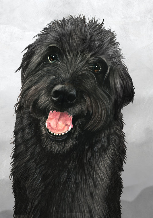 Labradoodle Dog by Tamara Burnett Blank Greeting Card 5x7 | 1065 | 259208