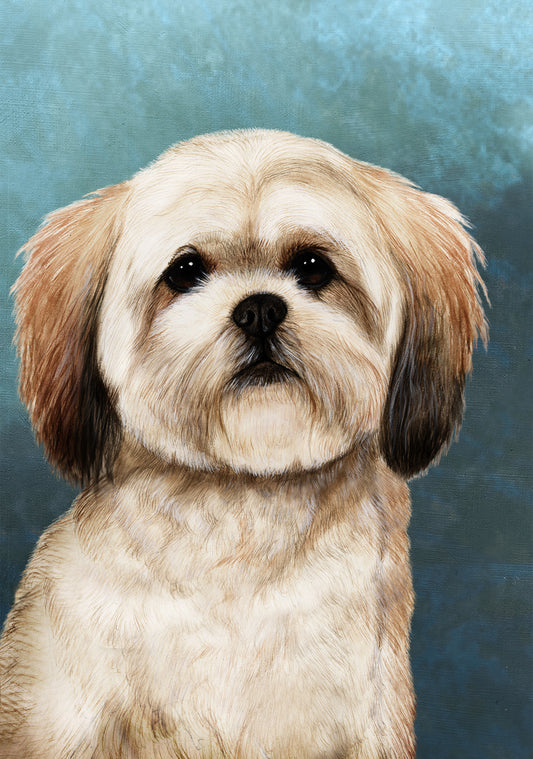 Lhasa Apso Dog by Tamara Burnett Blank Greeting Card 5x7 | 1073 | 259216