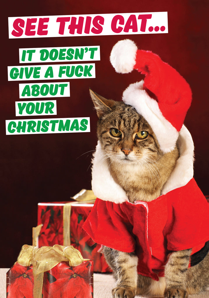 Dean Morris See This Cat Doesn't Give A Fuck Funny Christmas Greeting Card 5x7 DMX213 | 259864