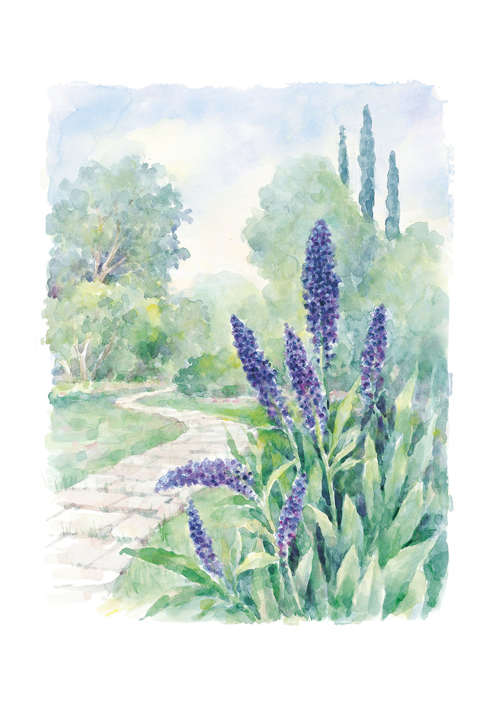 Carols Rose Garden Purple Lavender Flower Nature Pathway Watercolor Greeting Card 5x7 H-GAR058 | 1802 | 260071