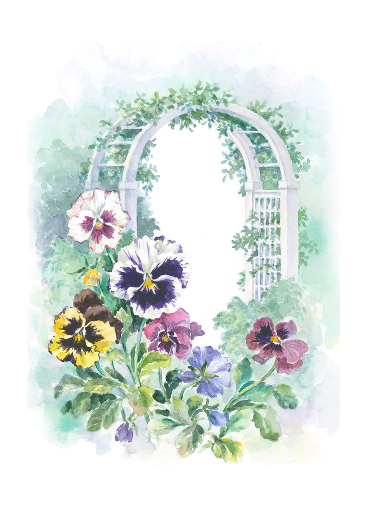 Carols Rose Garden Pansy Flower Garden Arch Watercolor Greeting Card 5x7 H-PAN015 | 1821 | 260090
