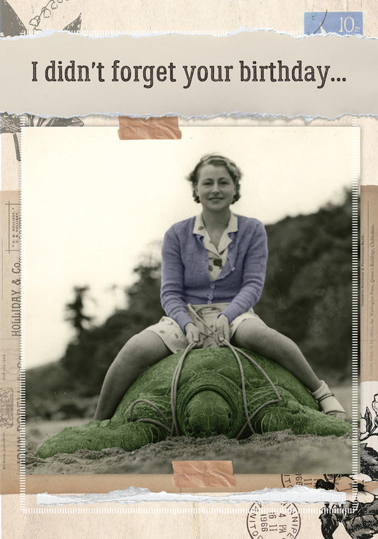 I Didn't Forget Your Birthday Young Woman Seated On A Turtle Greeting Card 5x7 | 1998 | 260454