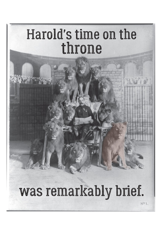 Harold's Time Throne Lions Vintage Photo Birthday Greeting Card 5x7 | 2011 | 260467