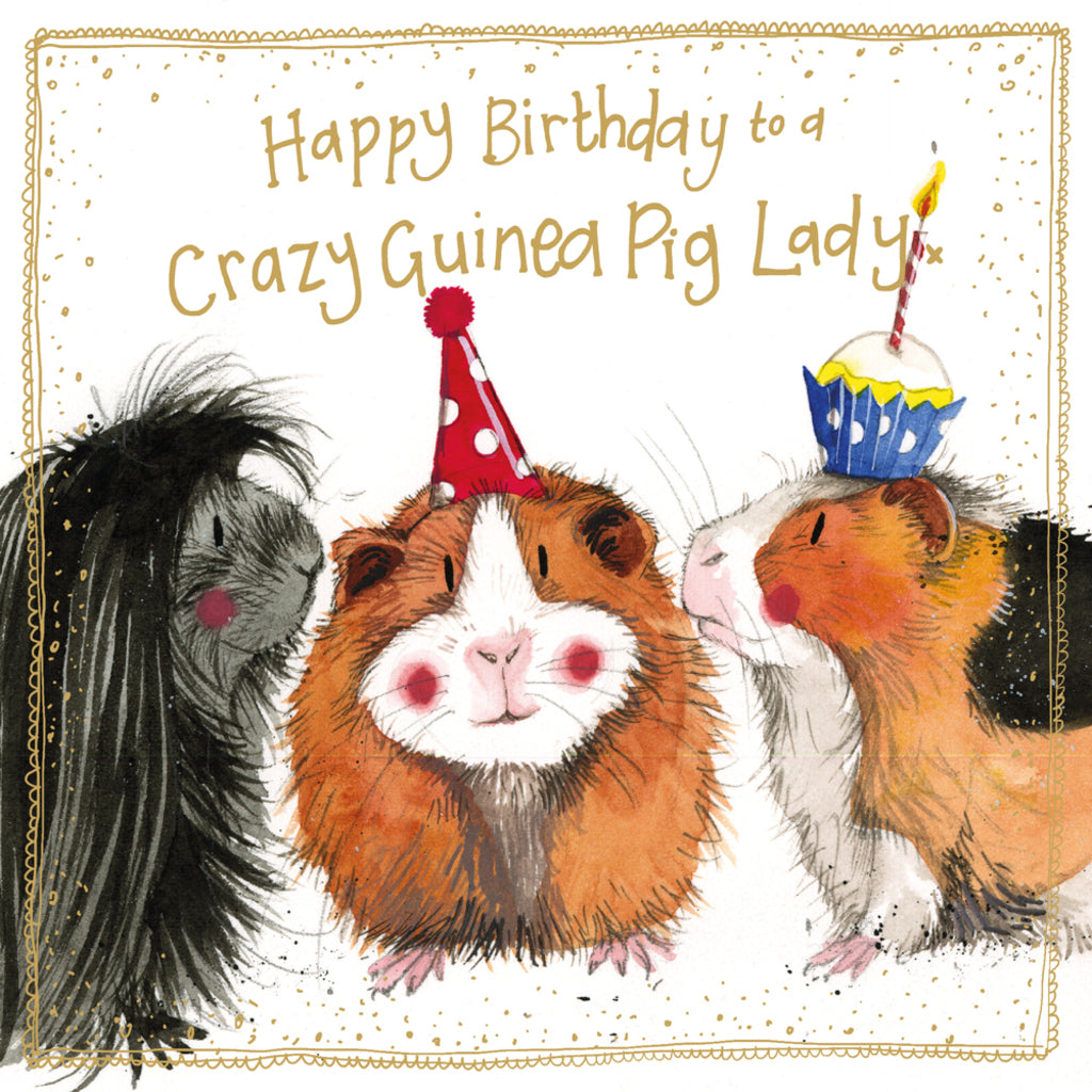 ALEX CLARK GRAZY GUINEA PIG SPARKLE CARD S563 | 260881