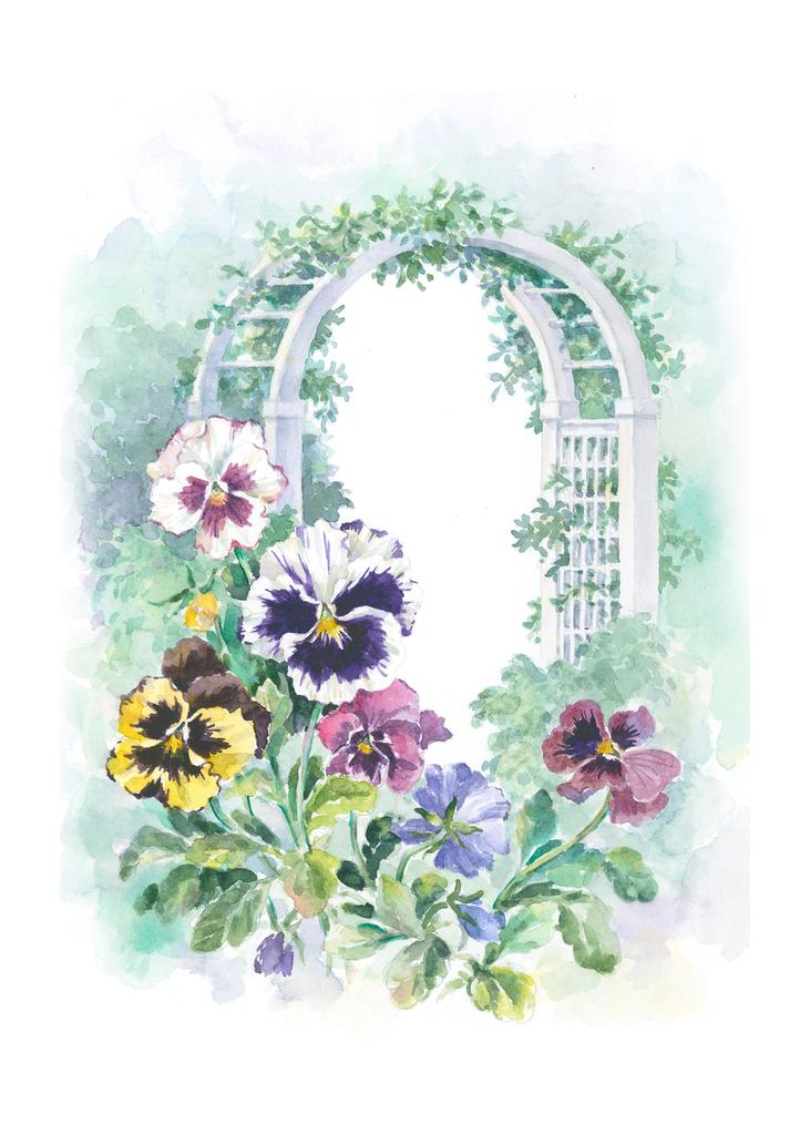 Carols Rose Garden Pansy Flower Garden Arch Watercolor Box of 10 Note Cards 4x5 H-PAN015 | 1821-4x5 | 261045
