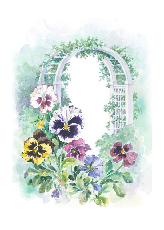 Carols Rose Garden Pansy Flower Garden Arch Watercolor Box of 10 Note Cards 4x5 H-PAN015 | 1821-4x5 | 261045