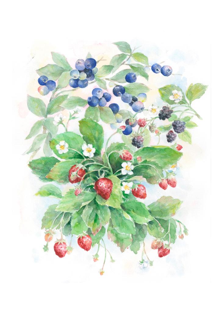 Carols Rose Garden Berry Fruit Trio Garden Watercolor Enclosure Card 2x3 H-FTV001 | 1792-2x3 | 261077