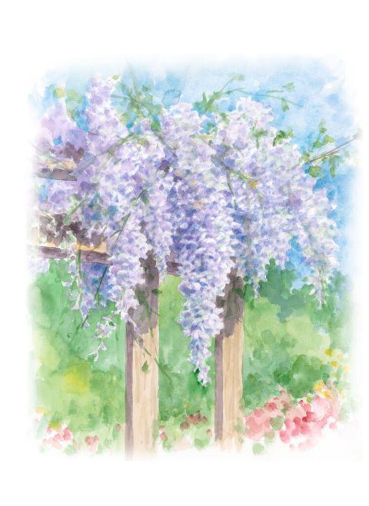 Carols Rose Garden Lilac Arbor Flower Garden Watercolor Enclosure Card 2x3 H-WIS002 | 1836-2x3 | 261143