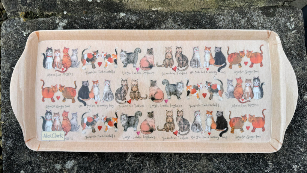 MEDIUM CAT TRAY MTY02