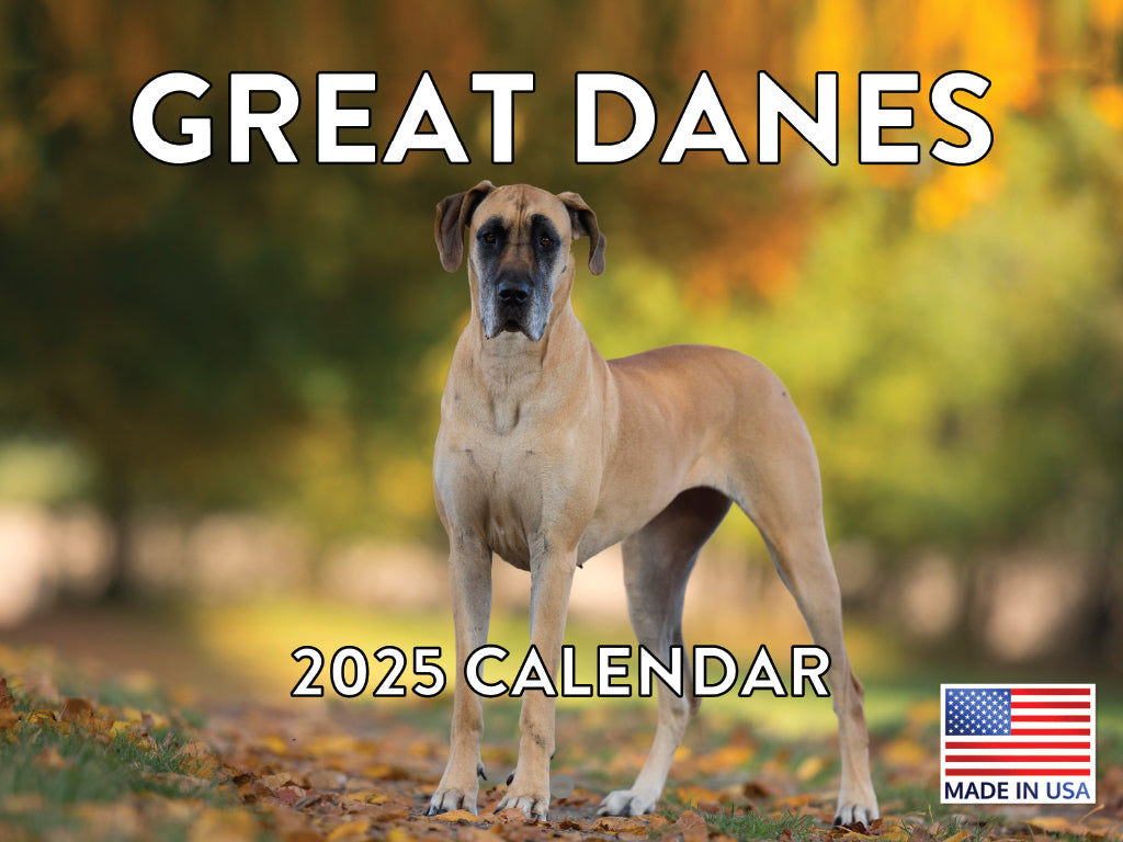Great Dane Calendar 2025 Monthly Wall Calender 12 Month | Made In The USA 261575