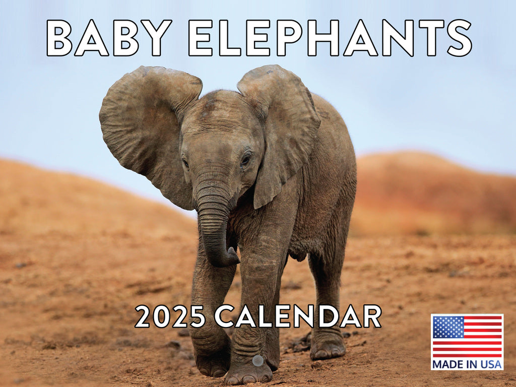 Baby Elephant Calendar 2025 Monthly Wall Calender 12 Month | Made In The USA 261581
