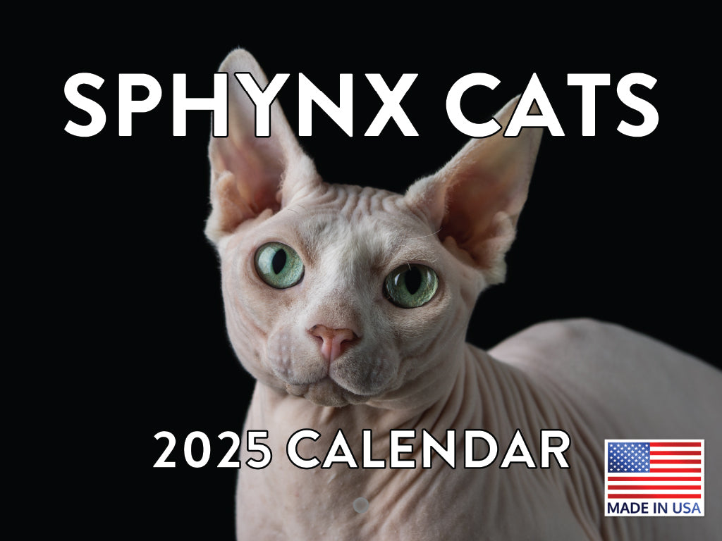 Sphynx Cat Calendar 2025 Hairless Cat Gifts Monthly Wall Calender 12 Month | Made In The USA 261597