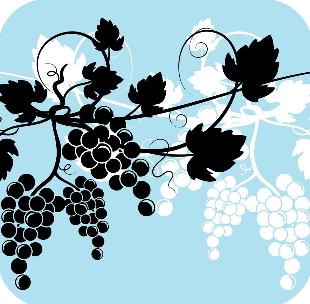 Grapes And Wine Pattern In Light Blue Black And Black V2 Premium Drink Coaster Resin With Cork Backing 261982 74967 261982