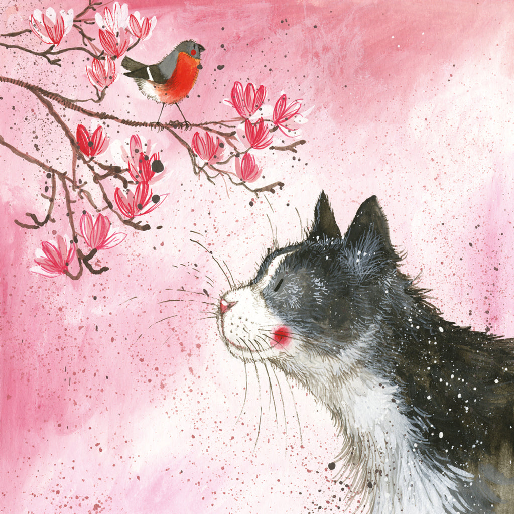 ALEX CLARK FELIX COASTER C127 | 262120