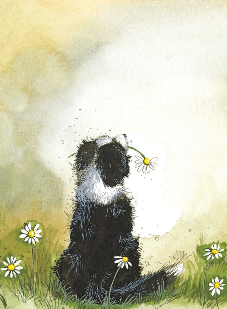 COLLIE AND DAISIES SMALL SPIRAL NOTEPADS SSN36