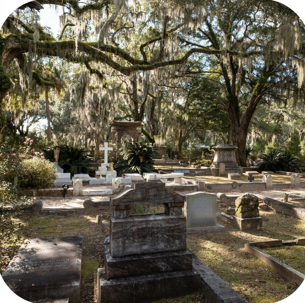 Savannah Georgia Historic Cemetery Headstones Canopied By Trees Filled With Moss Premium Drink Coaster Resin With Cork Backing 262264 75066 262264