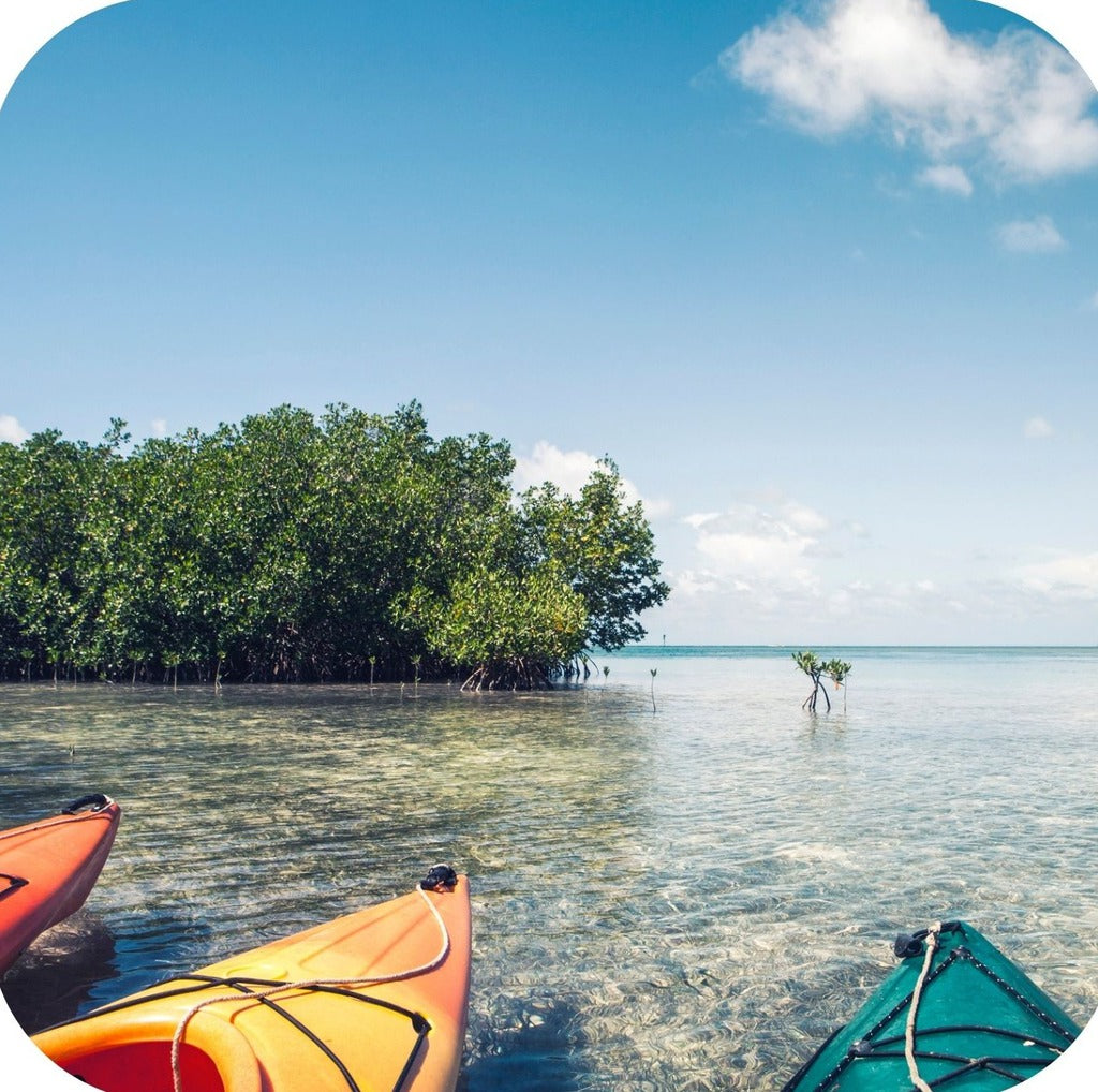 Key West Florida Kayaks Parked In Shallow Mangroves Premium Drink Coaster Resin With Cork Backing 262285 75087 262285