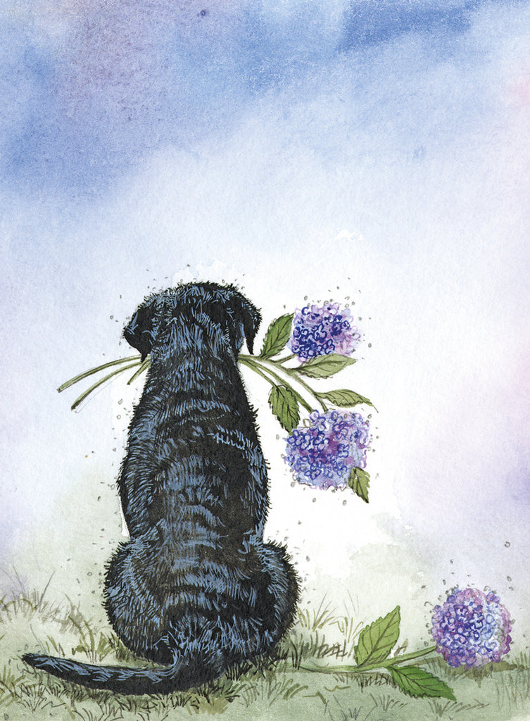 LABRADOR AND AGAPANTHUS SMALL SPIRAL NOTEPADS SSN39